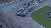 Chase Elliott Sport GIF by NASCAR