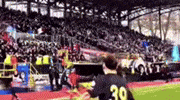 Sevinc GIF