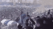 Sampiyon GIF