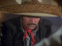 Vicente Fernandez Mexico GIF