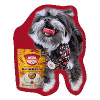 Happy Dog Food Sticker by Awesome Pawsome Treats