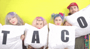 hardly art omg GIF by Tacocat