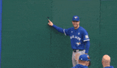 Blue Jays Smile GIF by Toronto Blue Jays