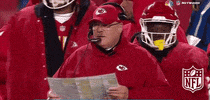 Kansas City Chiefs Football GIF by NFL