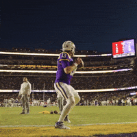 College Football GIF by LSU Tigers
