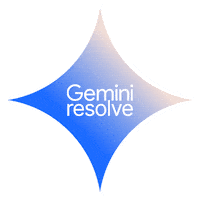 Gemini Sticker by FSB Holding