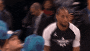 All Star Fan GIF by NBA