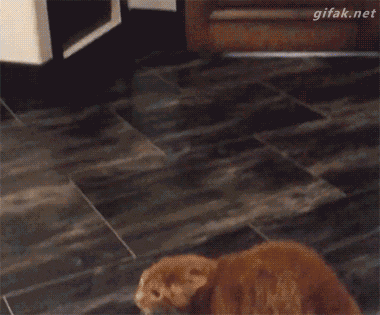 GIF by Demic