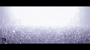 Lodo Guenzi Video GIF by TheFactory.video