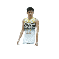 Corda Sticker by UST Growling Tigers