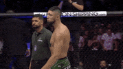 Johnny Walker Sport GIF by UFC