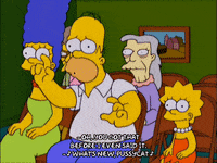 homer simpson GIF