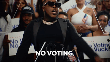 No Voting, No Vucking