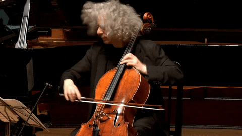 Wigmorehall giphyupload hall cello on stage GIF