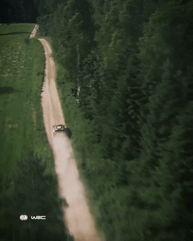 Estonia GIF by FIA World Rally Championship