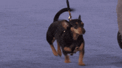 heart of television running GIF by Hallmark Channel