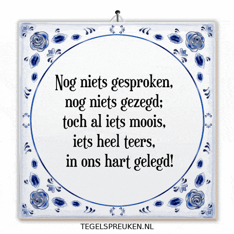 Humor Nl GIF by Tegelspreuken.nl
