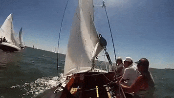 Sailing Sailboat GIF by MANGOTEETH