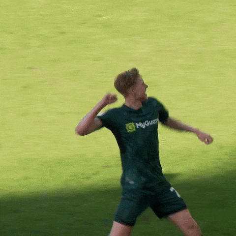 Celebration Goal GIF by MillwallFC