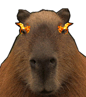 Capybara Capivara Sticker by Yeah Skateboards