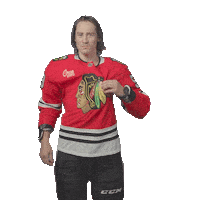 Tyler Bertuzzi Chicago Sticker by NHLBlackhawks