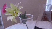 wine diy GIF by Little Things