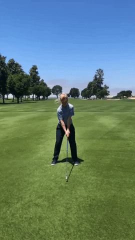 DaisyMayKenny giphyupload GIF