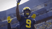 Excited Lets Go GIF by ESPN