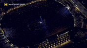 Go Blue Marching Band GIF by Michigan Marching and Athletic Bands