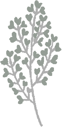 Flower 花 Sticker