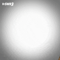 Morning Chicken GIF by SWR3