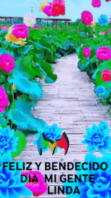 Feliz Amigos GIF by Murcianys LLC