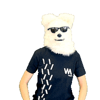 Like A Boss Sunglasses Sticker by Wayra