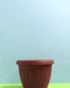 Flower Paint GIF by cintascotch