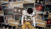 Georgia Tech Football GIF by Georgia Tech Yellow Jackets