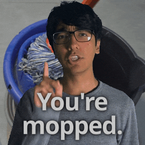 Slang Mop GIF