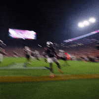 College Football Celebration GIF by Auburn Tigers