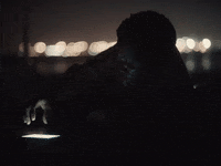 Moonlit Fools GIF by Sam Dew