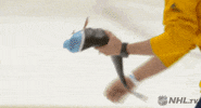 Regular Season Lol GIF by NHL