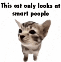 Look Away Smart People GIF