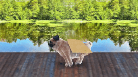 GIF by Sketchie.