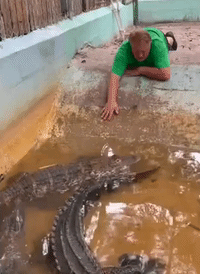 Man Sings Grease to Alligators