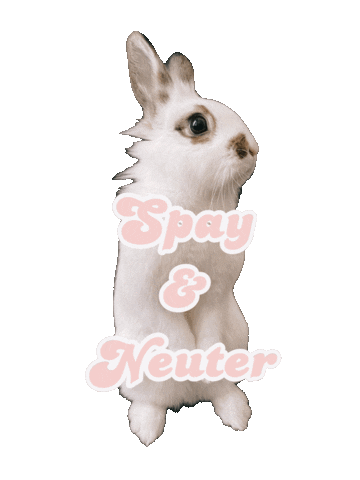 Hop Hopper Sticker