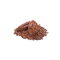 chocolate icecream Sticker