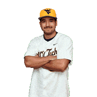 Baseball Sticker by WVU Tech Golden Bears