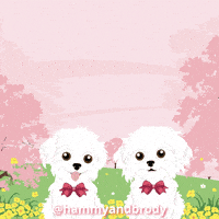 Dogs Hug GIF by HammyandBrody