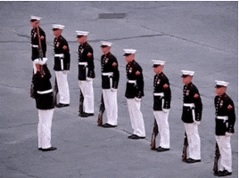 Marine Corps GIF