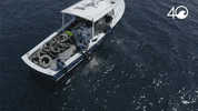 Environment Osborne GIF by 4ocean