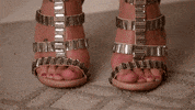 happy fox tv GIF by ScreamQueens