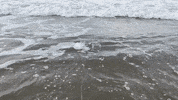 Water Wave GIF by Johns Hopkins Applied Physics Lab
